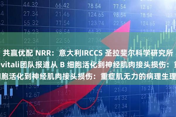 共赢优配 NRR：意大利IRCCS 圣拉斐尔科学研究所Stefano Carlo Previtali团队报道从 B 细胞活化到神经肌肉接头损伤：重症肌无力的病理生理学变化