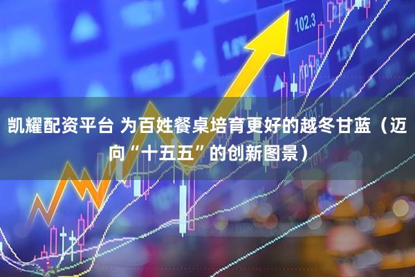 凯耀配资平台 为百姓餐桌培育更好的越冬甘蓝（迈向“十五五”的创新图景）